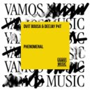 Dvit Bousa & Deejay P4T - Phenomenal