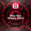 GunOut - Why Not