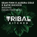 Sean Finn, Katie DiCicco, Alegra Cole - Missing
