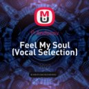 P.Andonov - Feel My Soul