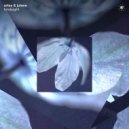 Arley & Julene - Hindsight (Original Mix)