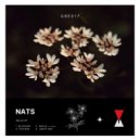NATS & pivot - Anijs