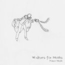 Prince Moth - Awake