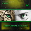 Conor Holohan - Eternityb
