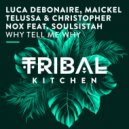 Luca Debonaire, Maickel Telussa & Christopher Nox Ft. Soulsistah - Why Tell Me Why