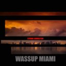 Strobe Connector - Wassup Miami (Extended)