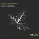 Nicolò Francesco Faraglia & Gabriele Evangelista & Nicholas Remondino - Échidnai (feat. Gabriele Evangelista & Nicholas Remondino) ()