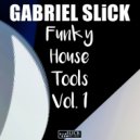 Gabriel Slick - Funky House Bass 01 (DJ Tool)