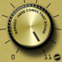 Rawkey - Here Comes That Sound (Original Mix)