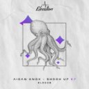 Aidan Knox - Shook Up (Original Mix)