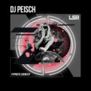 DJ Peisch - Hypnotic Sound Remix (Original Mix)