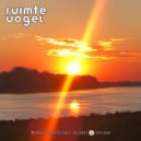 Ruimte Vogel - Gone (Original Mix)