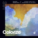 Shahin Shantiaei & Revered - Abandoned In The Rain (Extended Mix)