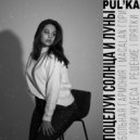 PUL’KA - Решение ()