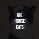 House Music - Friday (Original Mix)