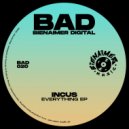 INCUS (UK) - Visualize