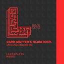 Dark Matter & Slam Duck - Life Is a Race
