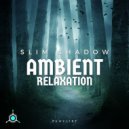 Slim Shadow - Ascending Shadows (Original Mix)