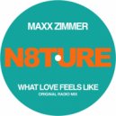 Maxx Zimmer - What Love Feels Like (Original Radio Mix)
