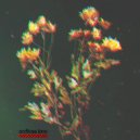 Trompett X - With You (Original Mix)