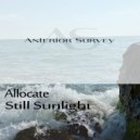 Allocate - Still Sunlight