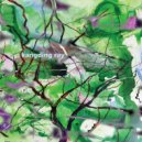 Kangding Ray - Salt and Iron (Original Mix)