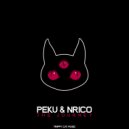 Peku & Nrico - The Journey
