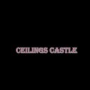 kriss beneton - ceilings castle