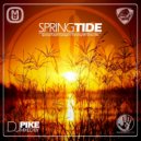 Dj Pike - Springtide (Special Future Garage 4 Trancesynth Show Mix) (Special Future Garage 4 Trancesynth Show Mix)