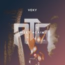 VEKY - Meet Again