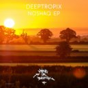 Deeptropix - Dervish Funk
