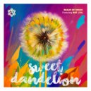 Realm of House feat. NAE (SA) - Sweet Dandelion