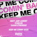 Matt Jam Lamont & Echelon featuring Sarah Etheridge - Keep Me Comin' Back