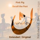 Pink Pig - Recall the Past