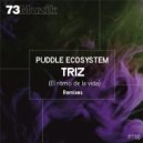 Puddle ecoSystem - Triz (El Ritmo De La Vida)