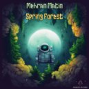 Mehran Matin - Spring Forest