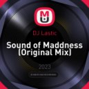 DJ Lastic - Sound of Maddness