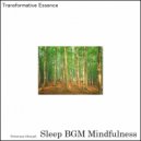 Sleep BGM Mindfulness - Soothing Rain Sounds for Sleep