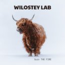 Wilostey LAB - burn THE FIRE