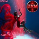 Djs Vibe - Radio Session Mix 2023 (DNDM)