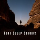Lo-Fi for Sleeping & Sleepy Times & Sleep Music Guys - Tranquil Lofi Dreamscape