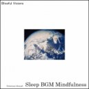 Sleep BGM Mindfulness - Moonlit Memories
