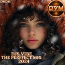 Djs Vibe - The Perffect Mix 2024 (DNDM)