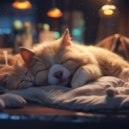 Work at Home Lofi & Relaxing ASAP & Sleepy Pets - Lofi’s Gentle Whispers Soothe Furry Friends