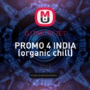 DJ DMITRY ZET - PROMO 4 INDIA (organic chill) ()