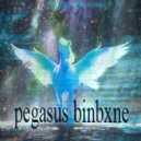 BINBXNE - pegasus ()