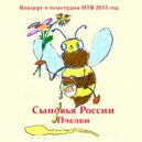 Сыновья России - Пчелки (выступление в телестудии НТВ 27.02.2011 года)