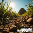 Why Not Be - Long Way Home (Original)