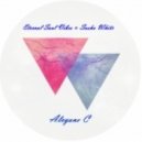 Eternal Soul Vibes & Sasha White - Alcyone C
