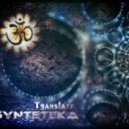 Synteteka - Izmerenie